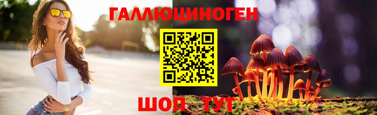 Псилоцибиновые грибы Psilocybine cubensis  Вход с VPN  Ачхой-Мартан 