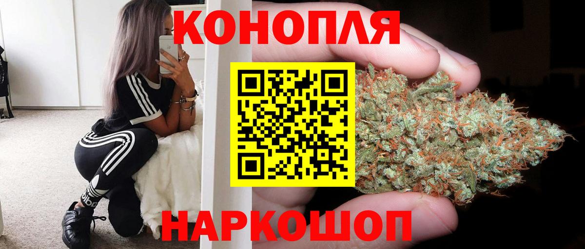 Бошки Шишки Ganja  Ачхой-Мартан  Шишки марихуана Bruce Banner  Бошки Шишки план 